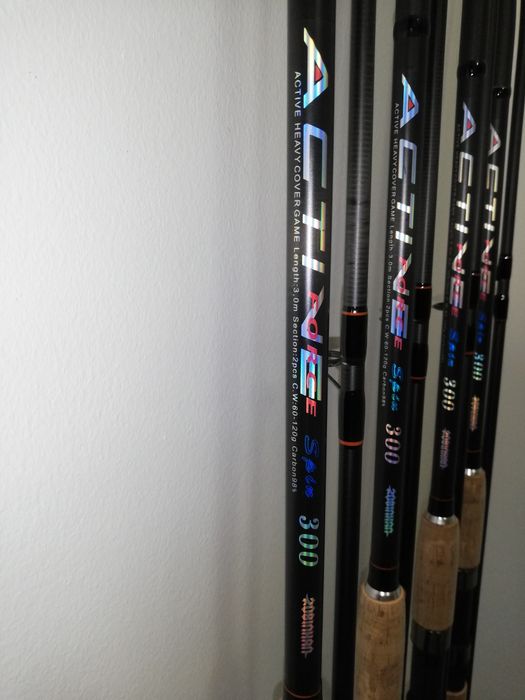 Set 4 Lansete ACTIVE Robinhan 3.m + 4 Mulinete FL VR 6000