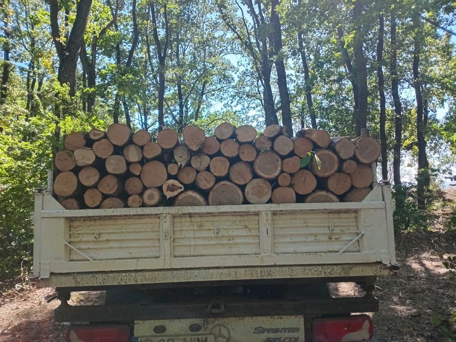 Transport lemn de foc