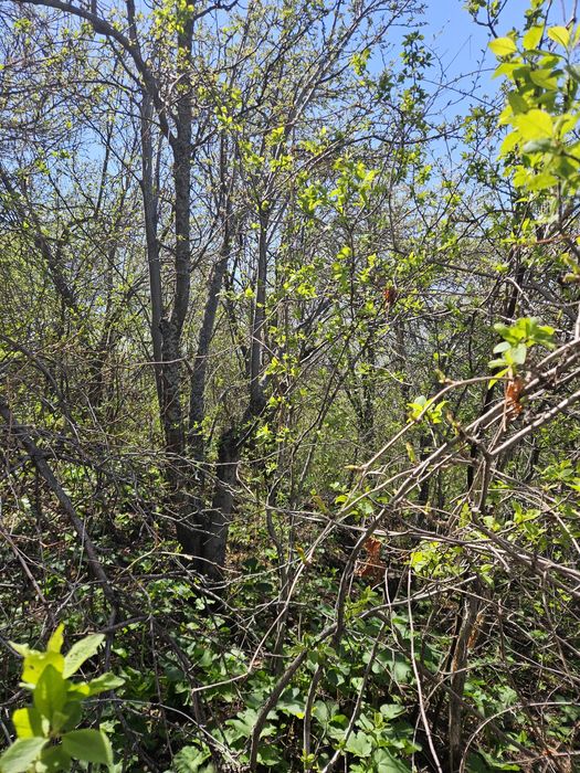 Уборка участков.