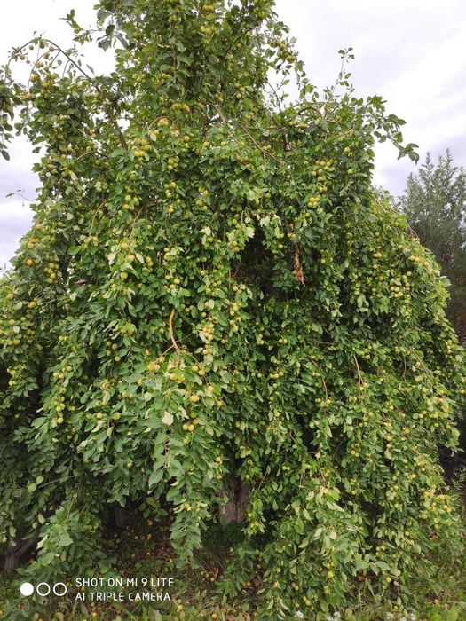дача на федоровском водохранилище
