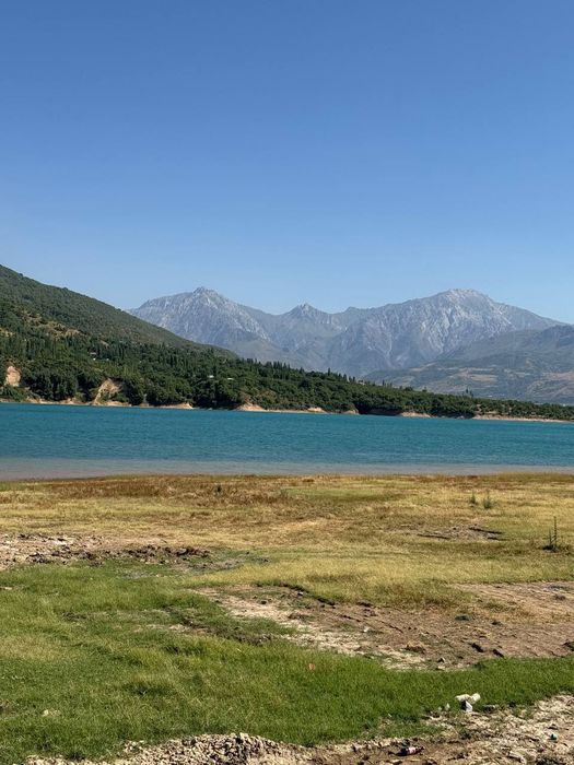 Sijjakda 16 sotik dacha sotiladi 8 sotikdan