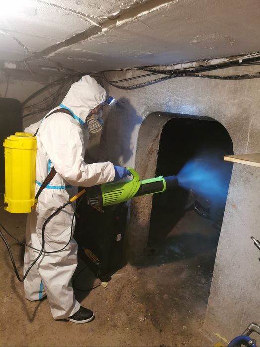 Servicii Dezinsecție, Dezinfecție și Deratizare