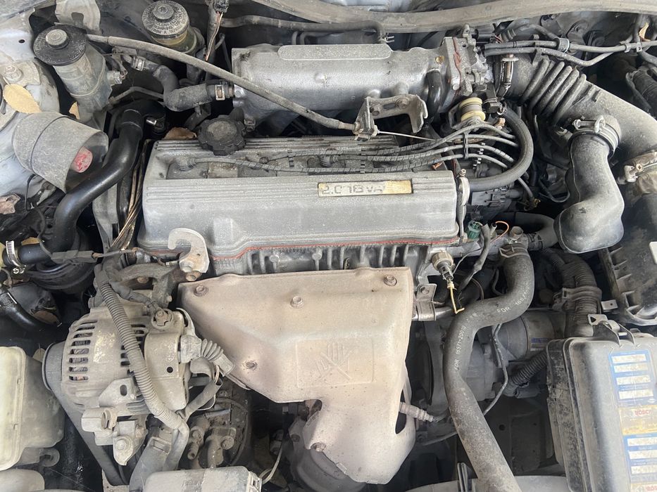 Калдина на разбор