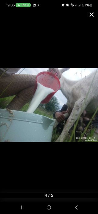 Vand capre și țapi