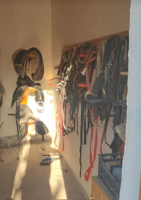 Ferma sotiladi otxona tayyor biznes uchun joy ot  prakat uchun shroit