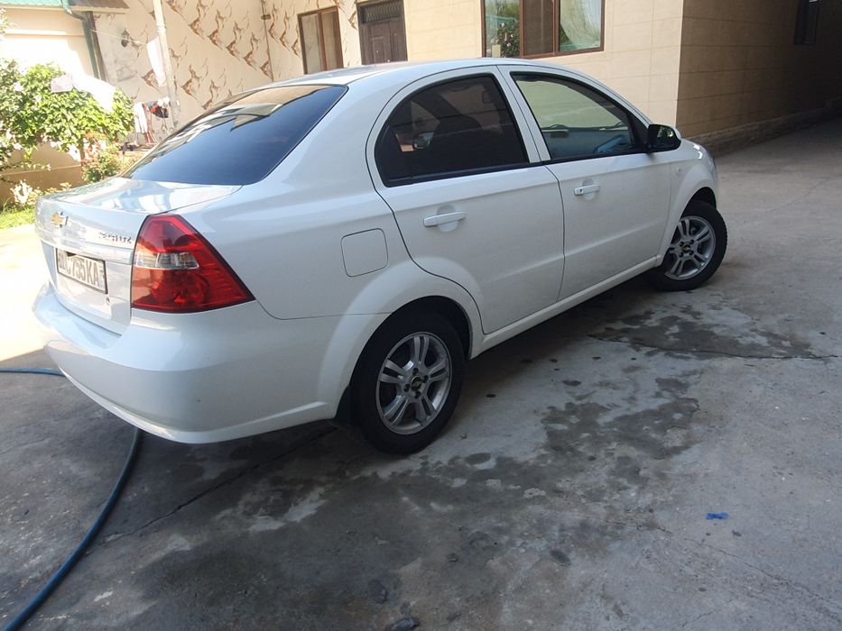 Nexia 3 rangi oq