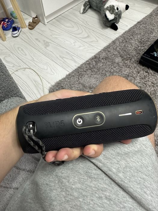 Vand bixa jbl flip 5 perfevr functionala