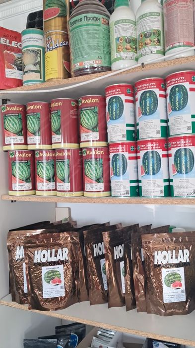 HOLLАR Арбуз  семена