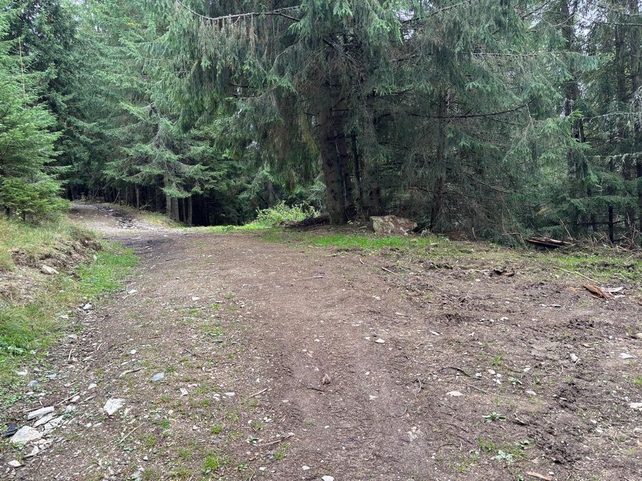 Teren de vanzare - 1500 mp in Statiunea Muntele Baisorii (CJ)