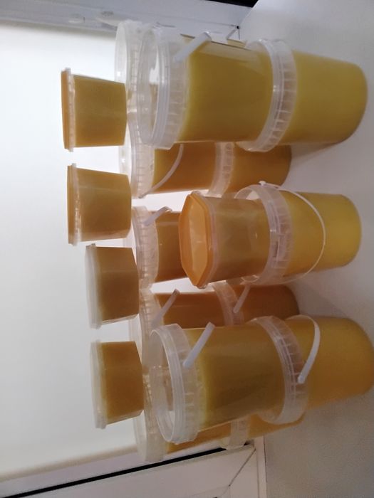 Продажа Мёд натуральный