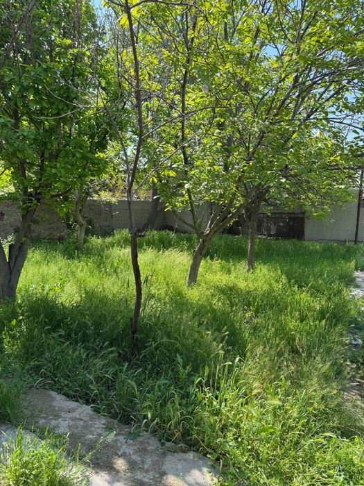 Дача дала ховли коттедж