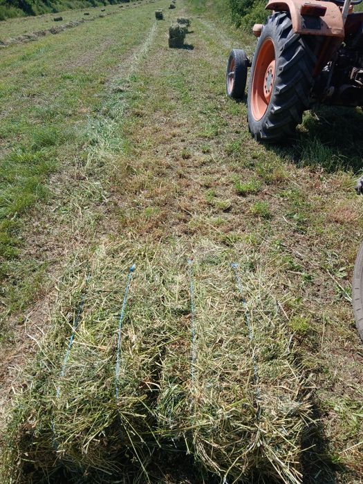 Baloți de lucernă și fân