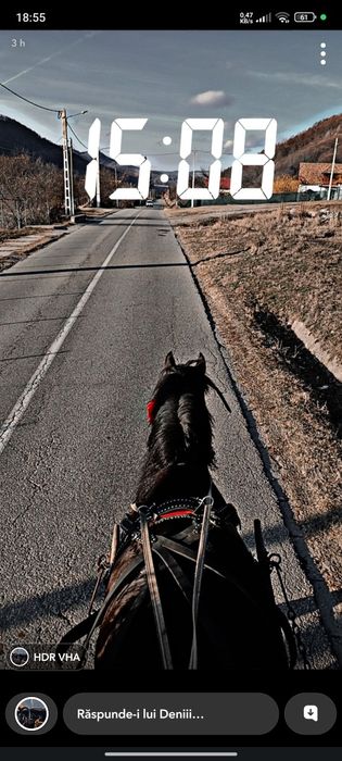 Vând carlan de 3 ani