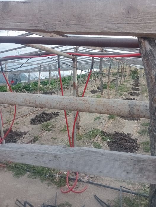 Продам дачные участки с теплицами и парниками.