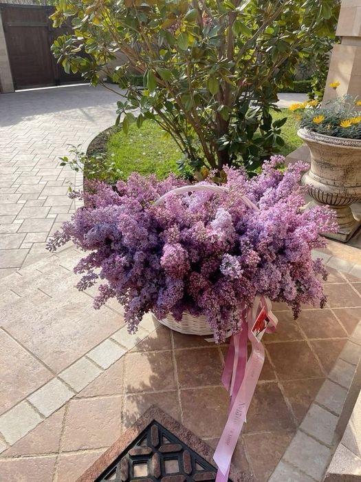 Делаем красивые букеты. апрельская сирень.