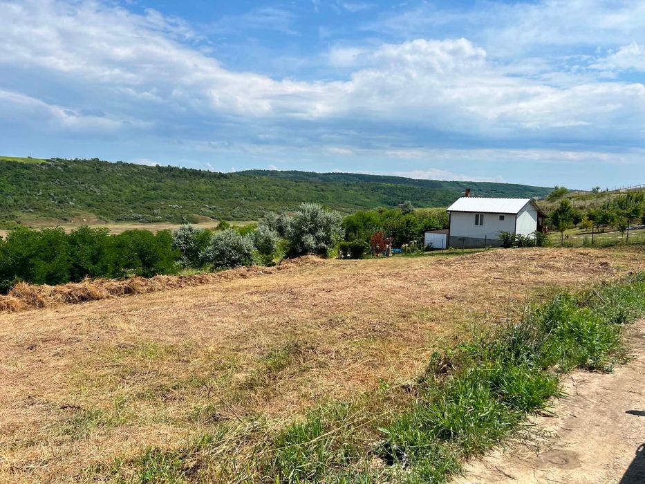 Teren Intravilan Carlig - Carolina  1500 mp Iasi 5 km pana la Mihai Viteazu cel mai mic pret din zona. Oportunitate investitie