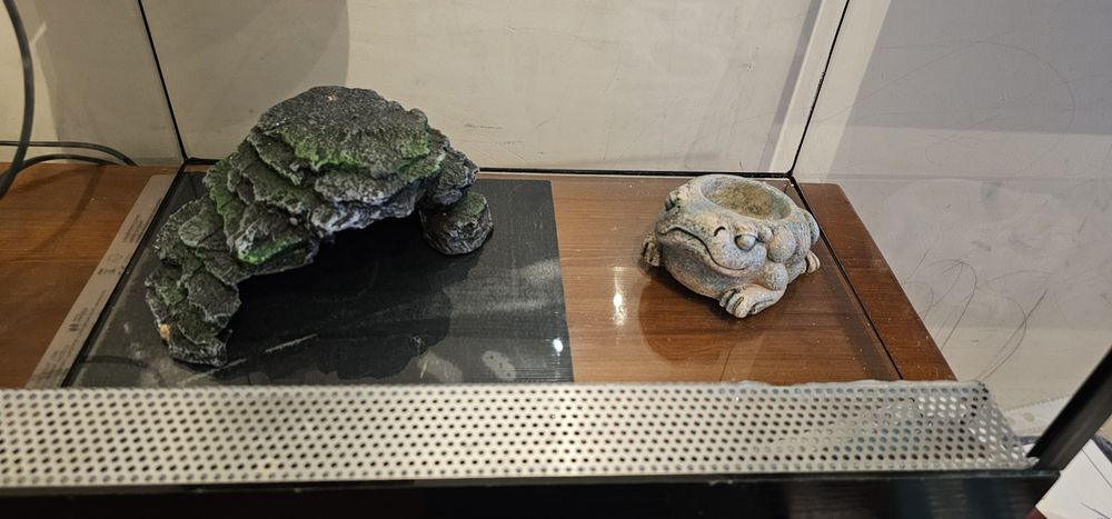 Лампа за влечуги