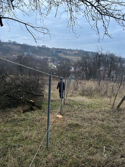 Vand stâlpi/ spaleri zincati la 2.40m