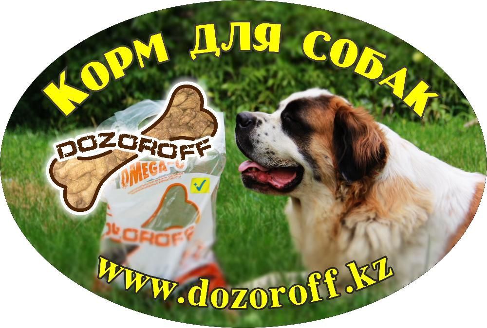 Корм алматы. DOZOROFF корм. Зоотовары баннер. Корма для собак и кошек «DOZOROFF». Зоотовары фон.