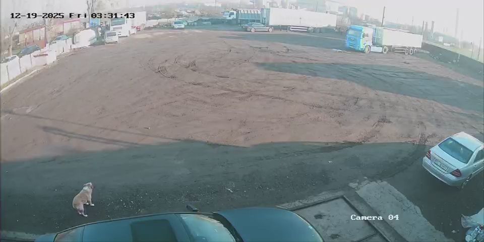 Teren intravilan 2500m,Varianta Nord