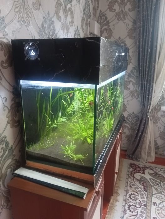 Аквариум сатылады