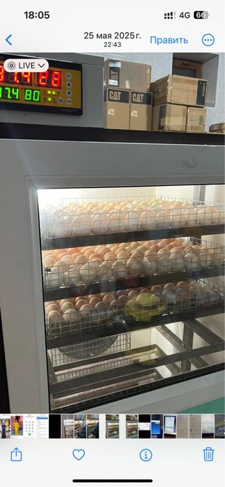 Продается инкубатор