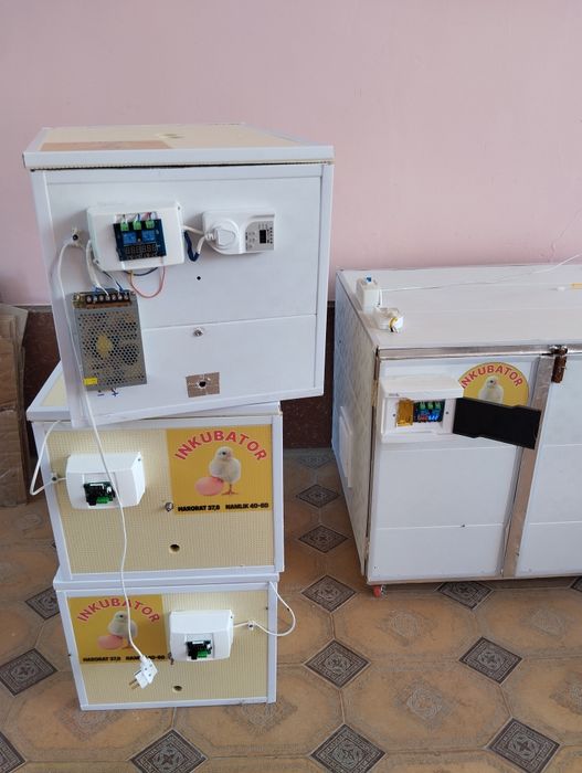 Инкубатор сотилади 85талик