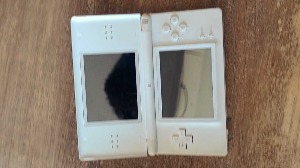 Nintendo ds life