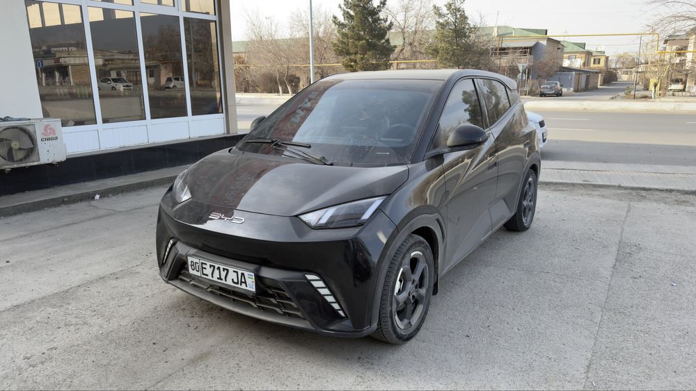 Byd seagull радной