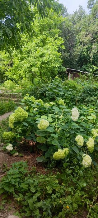 Сдам 2 комнатный дом посуточно