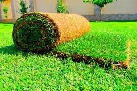 Газон, микроклимат, поливочная система