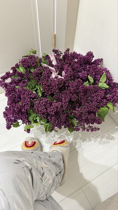 Сирень цветы 50 штук