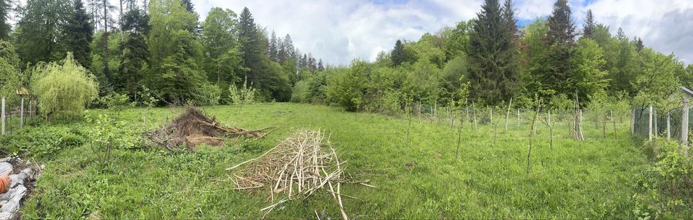 Vand teren extravilan zona usor accesibila zona Colonia Mina 1 Mai