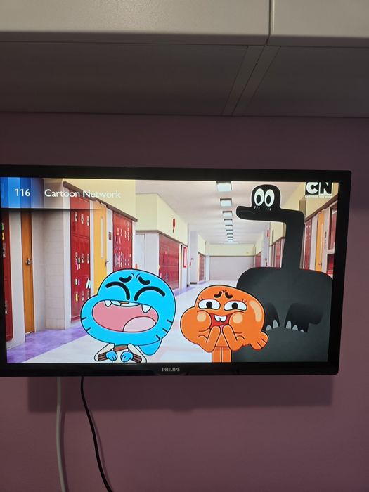 Televizor Philips Full Hd 56 cm