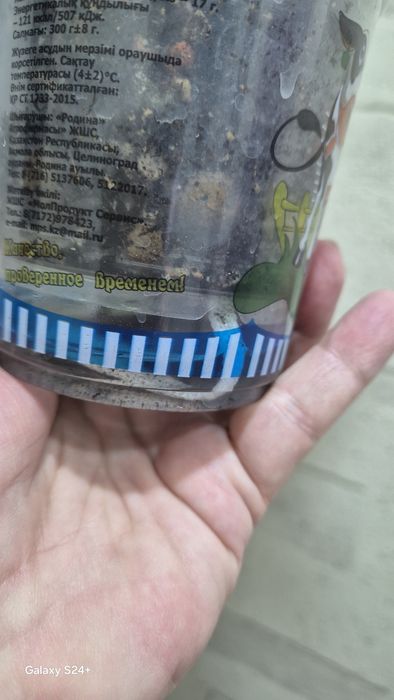 Альпиния вариегатная