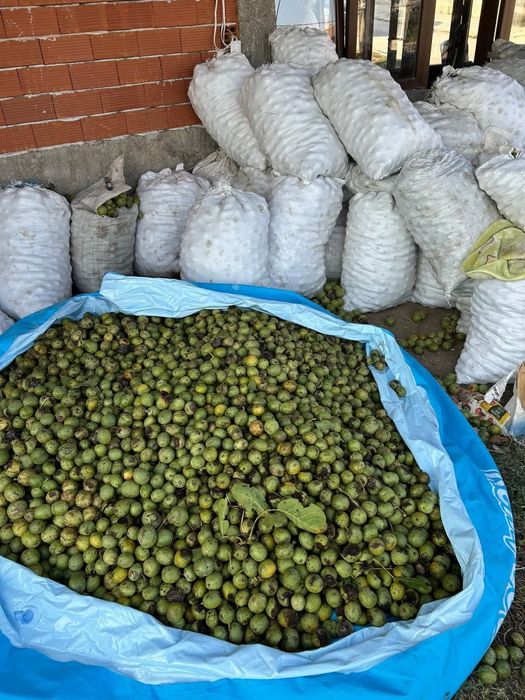 Продавам орехи на  черупка на ядка и на зелено