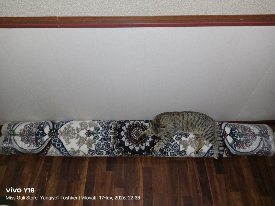 Гилам сотиладиии