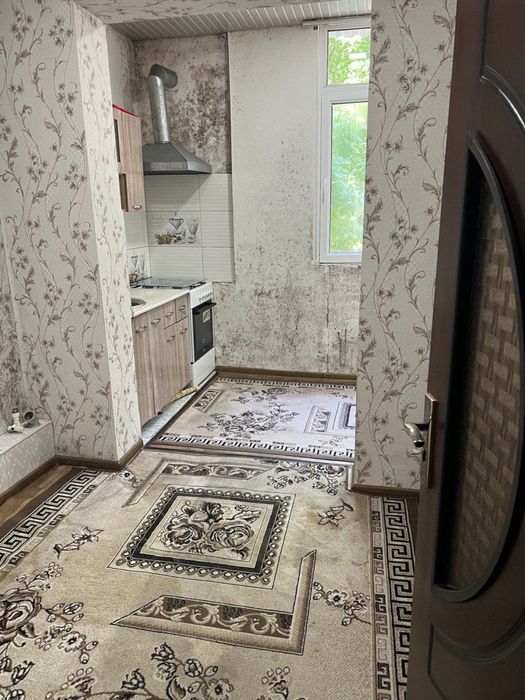 Аренда 3/2/4 Коракамиш 1/3