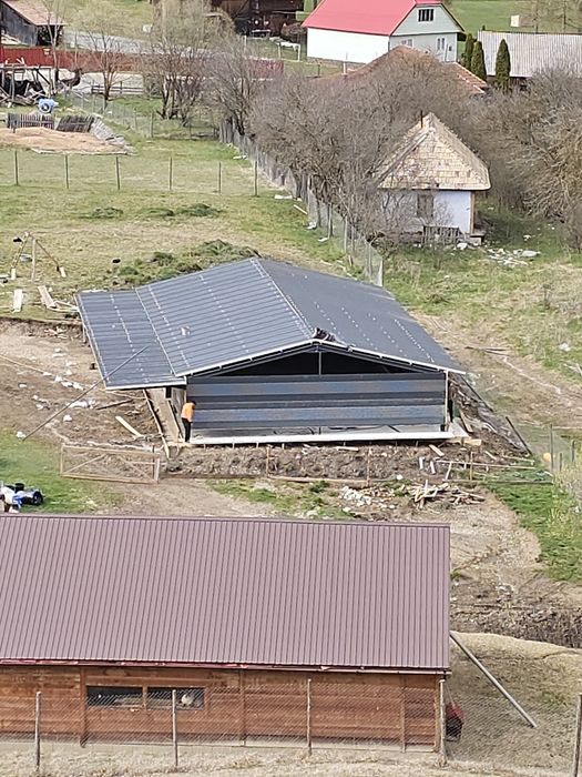 Vand schimb hale cu auto producător