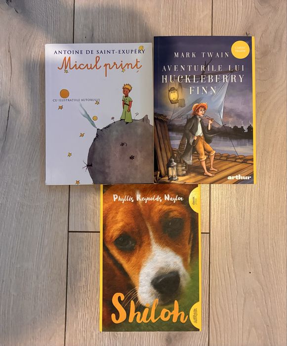Carti copii editura Arthur