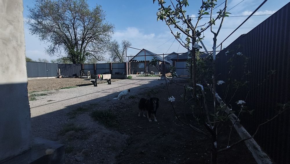 Дом 5 комнат 117м²