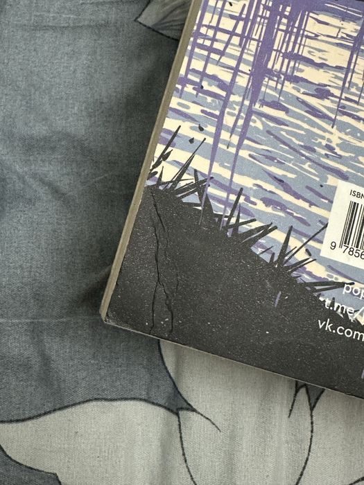 Книга «О чем молчит ласточка»