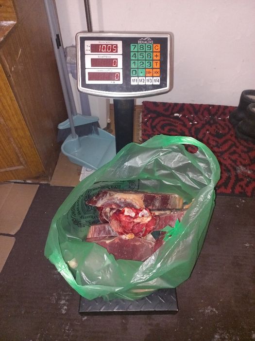 Продам мясо конины молодняк