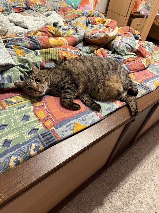 Edgar își caută o familie iubitoare