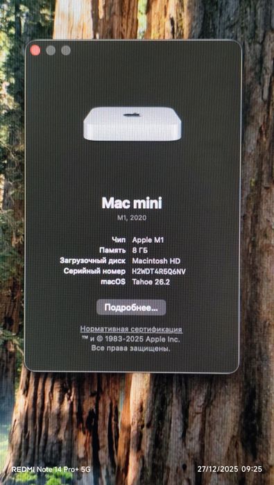 Macmini M1 2020 8/256GB