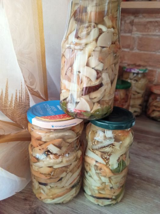 Грибы маринованные сезон 2025