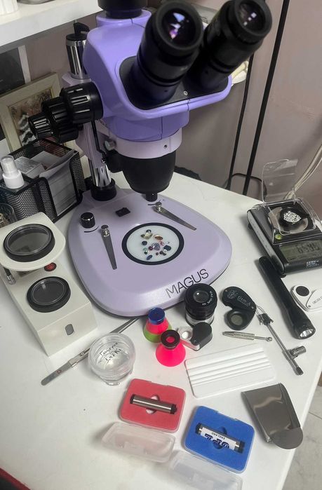 Заложна къща 6666 ЕООД гр.Пазарджик ул.Екзарх Йосиф 9 /до банка ДСК/