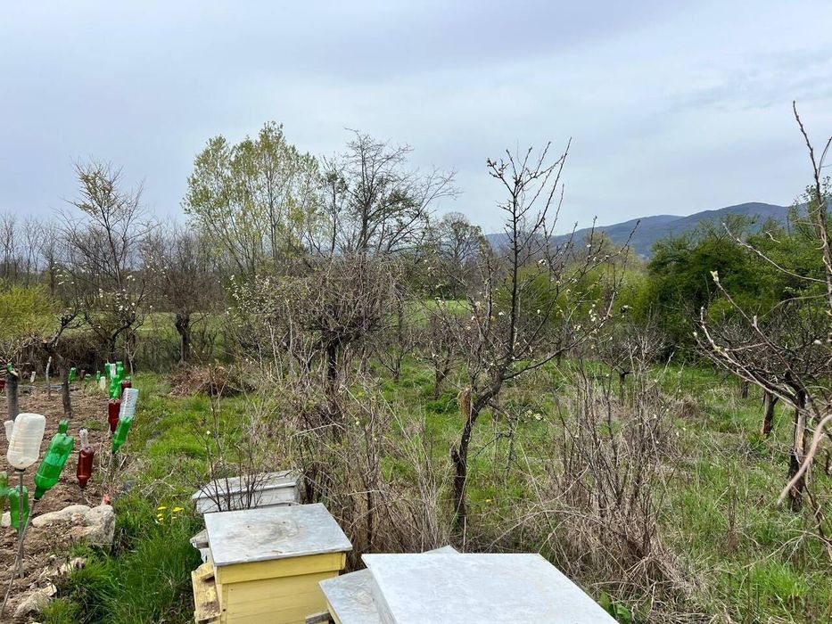 Живописен Парцел 251 кв. в Казанлък и Енина - Вилна Зона "Старите Лозя"