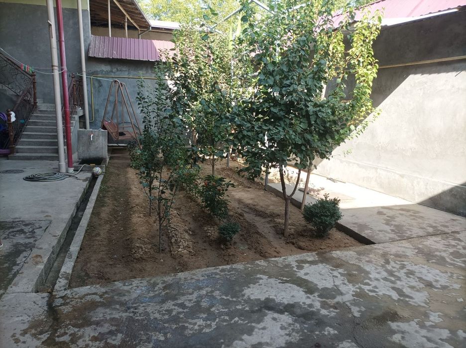 Bunaqa narxga Uy topa olmaysiz. Uchtepa tumani katta qani mahallasida