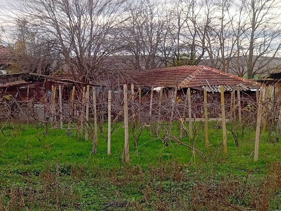 къща с двор с. Биково